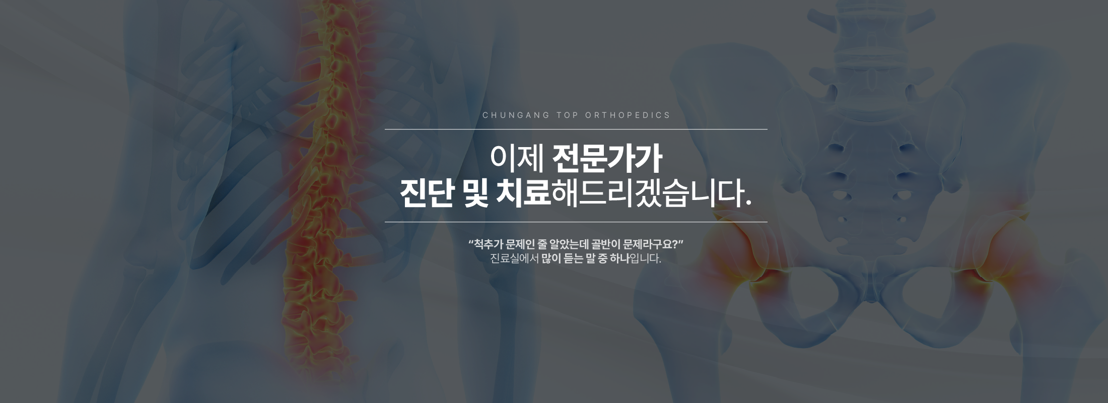 배너2